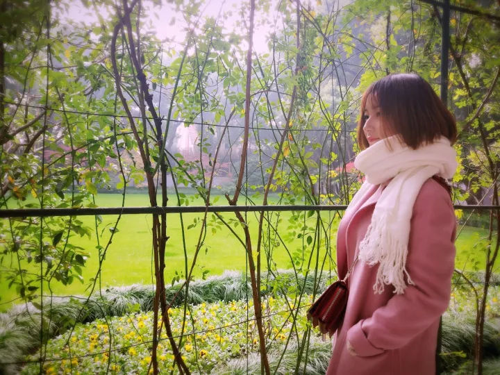 2020年城市全能景觀、綠化用樹「西府海棠」