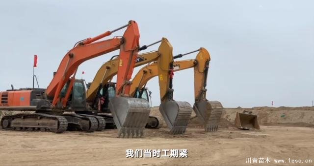 30畝苗木一夜被毀，村民欲哭無(wú)淚，施工方：領(lǐng)導(dǎo)要觀摩加班推錯(cuò)了