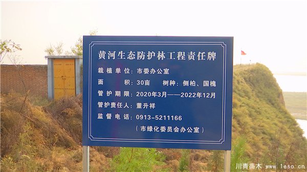 秋冬季花卉苗木的管護補植工作，黃河生態(tài)防護林責任片區(qū)