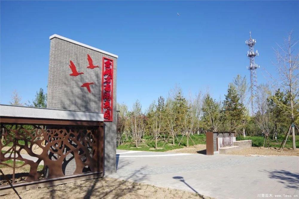 通州南部這處灌木森林公園規(guī)模約26000畝即將迎客！