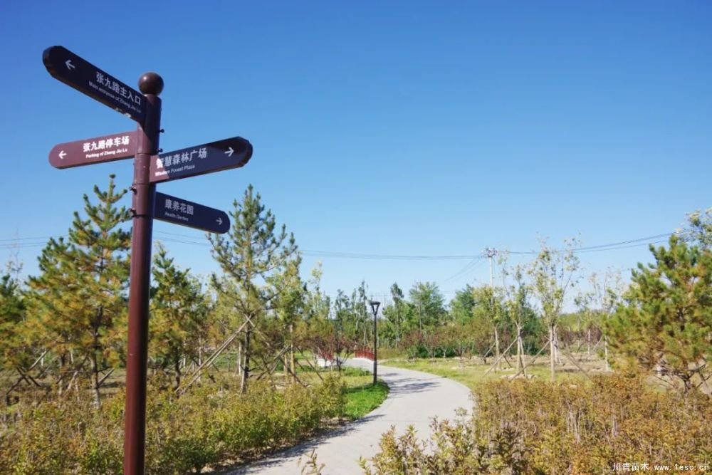 通州南部這處灌木森林公園規(guī)模約26000畝即將迎客！