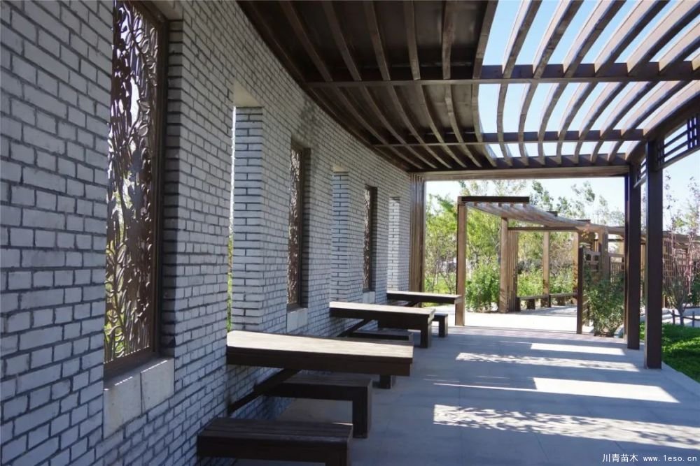 通州南部這處灌木森林公園規(guī)模約26000畝即將迎客！