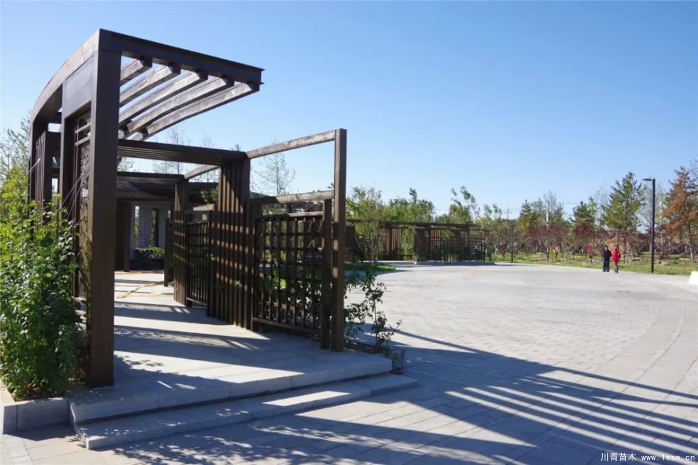 通州南部這處灌木森林公園規(guī)模約26000畝即將迎客！