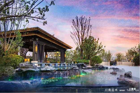 雙軌交匯，3站直達朝陽，均價2字頭的墅質(zhì)洋房你愛不愛？