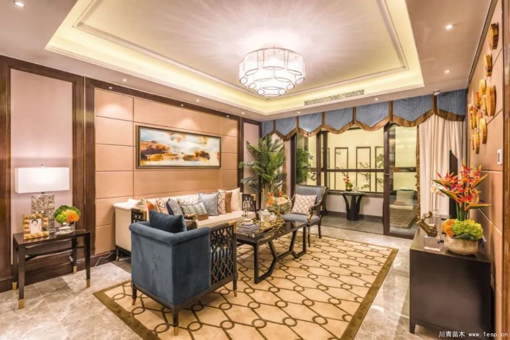 雙軌交匯，3站直達朝陽，均價2字頭的墅質(zhì)洋房你愛不愛？