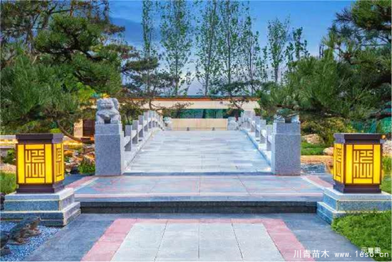 雙軌交匯，3站直達朝陽，均價2字頭的墅質(zhì)洋房你愛不愛？