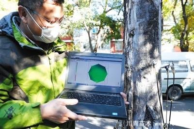 “樹木醫(yī)生”為樹木體檢、開方治病