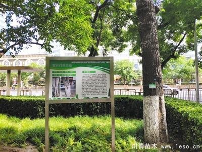 “樹木醫(yī)生”為樹木體檢、開方治病