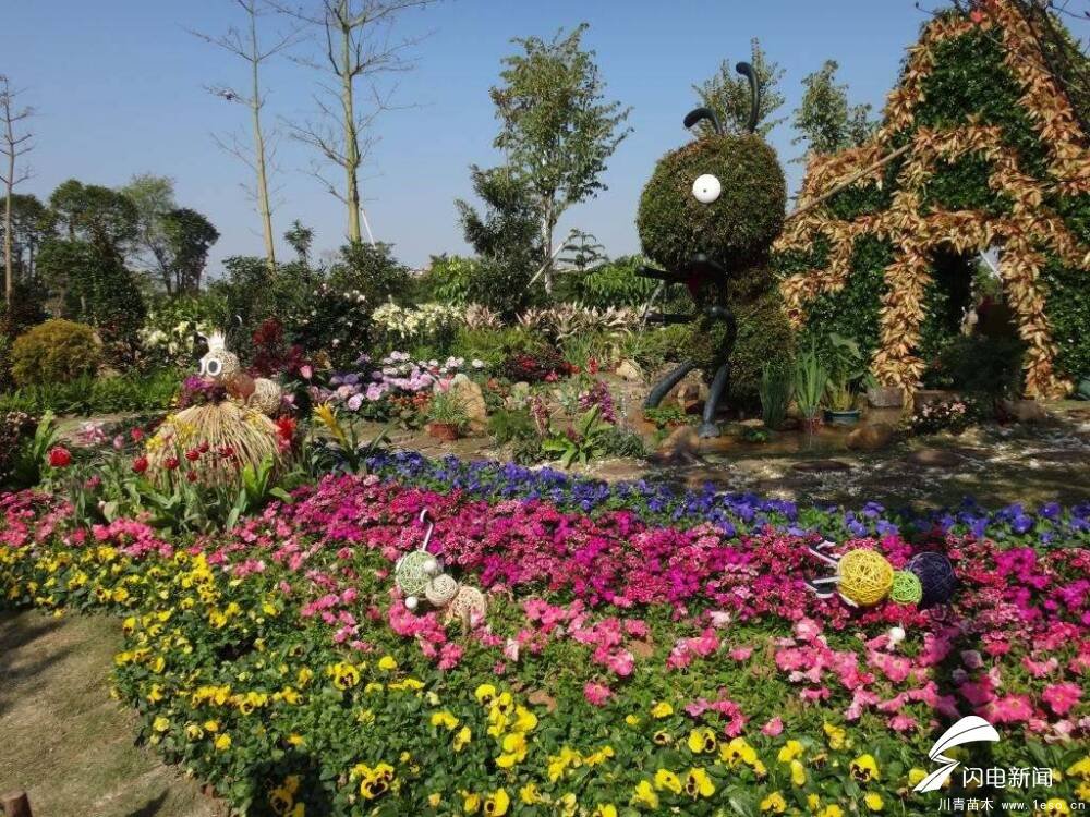 淄博一男子多次偷拿路邊花卉被拘，路邊的鮮花你不要“采”