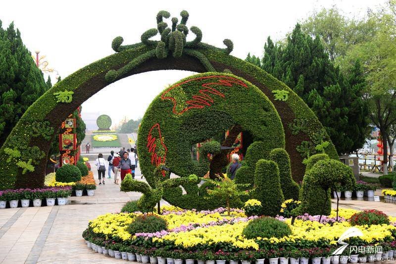 淄博一男子多次偷拿路邊花卉被拘，路邊的鮮花你不要“采”