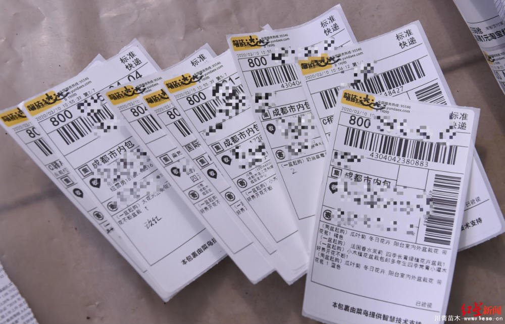 溫江川雅園藝場線上直播帶貨！花式賣花帶火溫江近30萬滯銷花卉