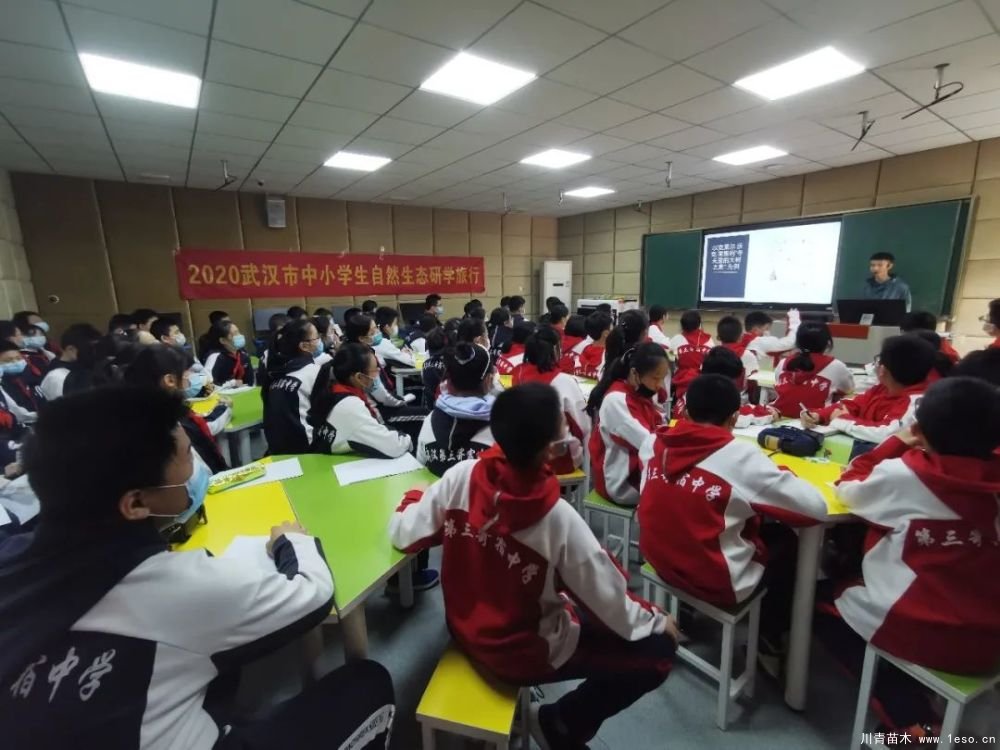 武漢導(dǎo)師帶領(lǐng)初中生探究喬木的奧秘，生動的上了一課