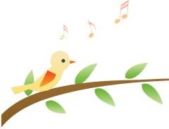 溫江路邊長出“盆景”！區(qū)城市園林綠化苗木：兼顧安全與采光