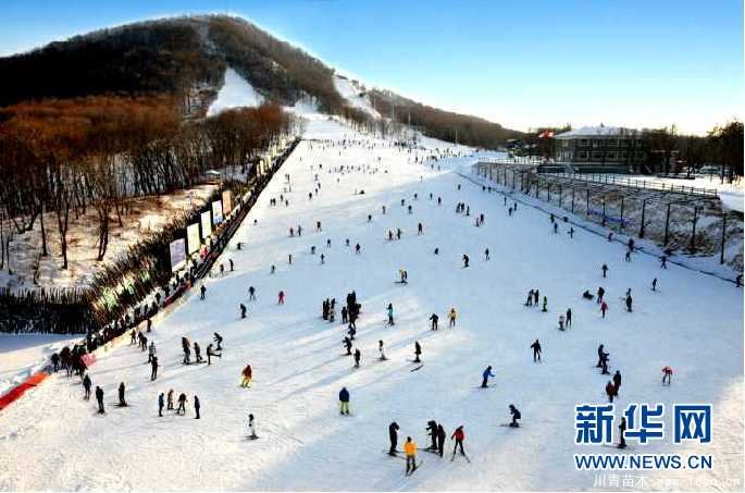 波泥河苗木特色小鎮(zhèn) 長春九臺一花一樹