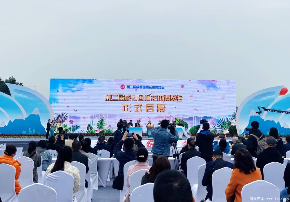 第二屆成都國際花木博覽會在溫江區(qū)鎮(zhèn)子鄉(xiāng)盛大啟幕