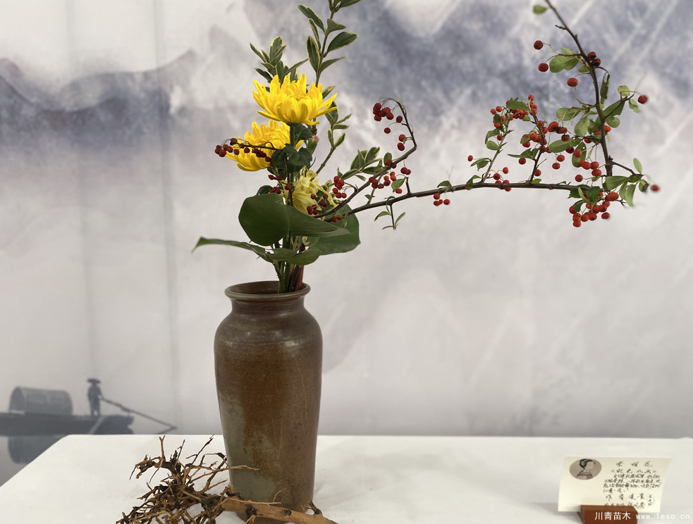 第二屆成都國際花木博覽會在溫江區(qū)鎮(zhèn)子鄉(xiāng)盛大啟幕