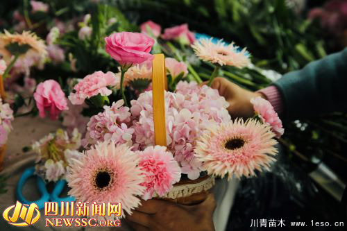 賞千姿百態(tài) 享美好周末 第二屆成都國際花博會在溫江開幕