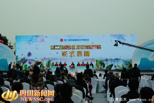 賞千姿百態(tài) 享美好周末 第二屆成都國際花博會在溫江開幕