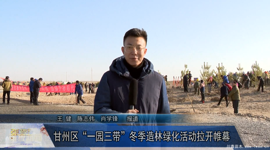 甘州區(qū)“一園三帶”冬季造林綠化苗木活動拉開帷幕