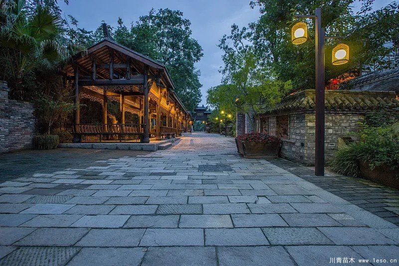 綠化苗木園林景觀建筑在園林設(shè)計(jì)中的作用