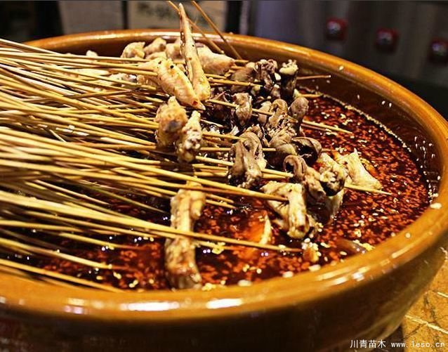 距成都1h！10余公里溫玉路梧桐大道迎最美春夏秋冬！