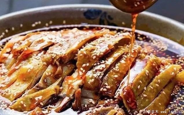 距成都1h！10余公里溫玉路梧桐大道迎最美春夏秋冬！