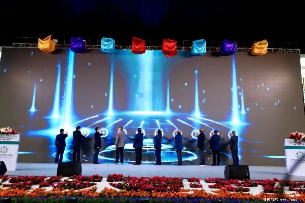 第十八屆中國(guó)金華花卉苗木交易會(huì)三大亮點(diǎn)，帶你上“云”