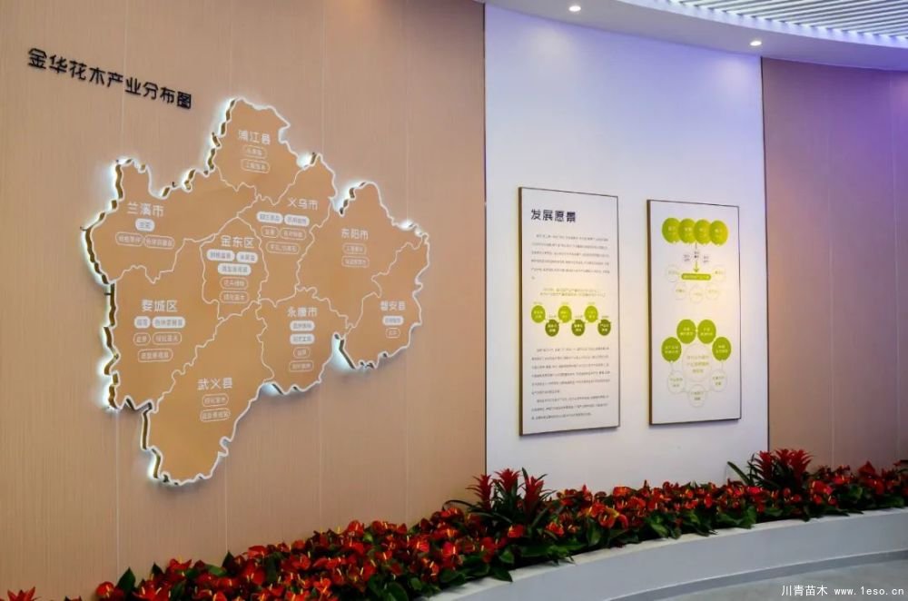 第十八屆中國(guó)金華花卉苗木交易會(huì)三大亮點(diǎn)，帶你上“云”