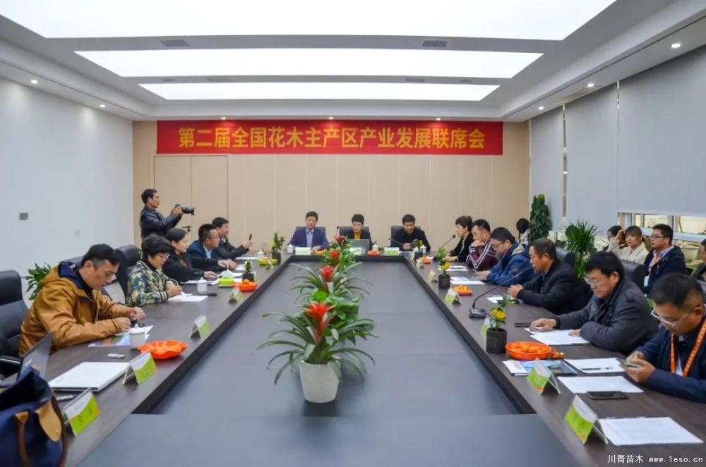 第十八屆中國(guó)金華花卉苗木交易會(huì)三大亮點(diǎn)，帶你上“云”