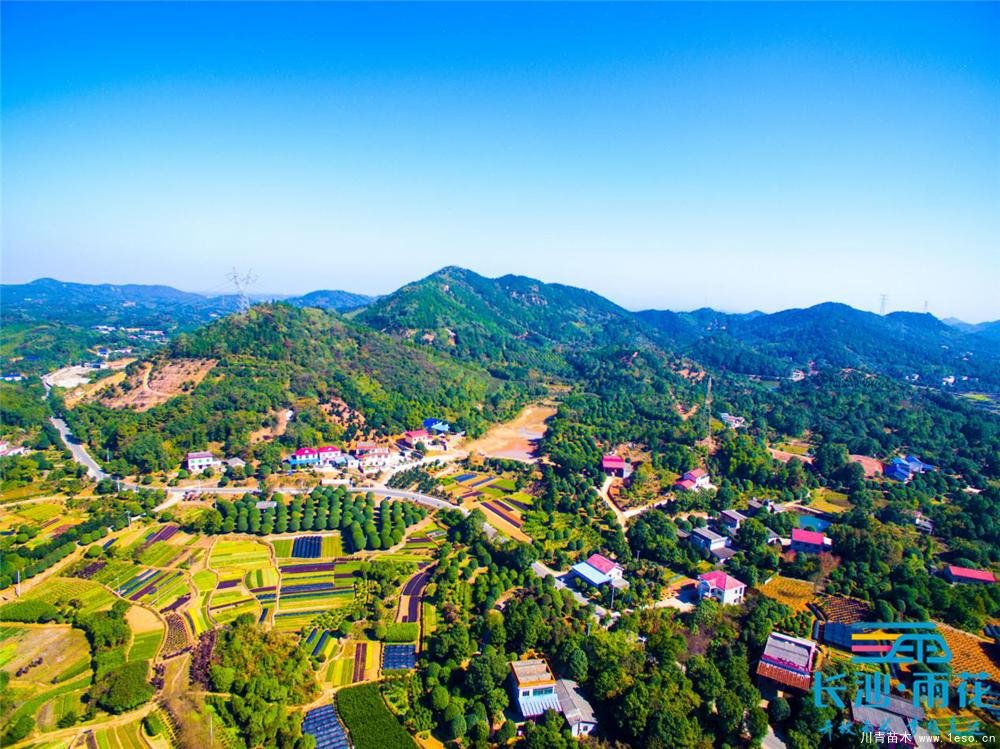 小小苗木開出“脫貧致富花”“一村一品”跳馬鎮(zhèn)豐收