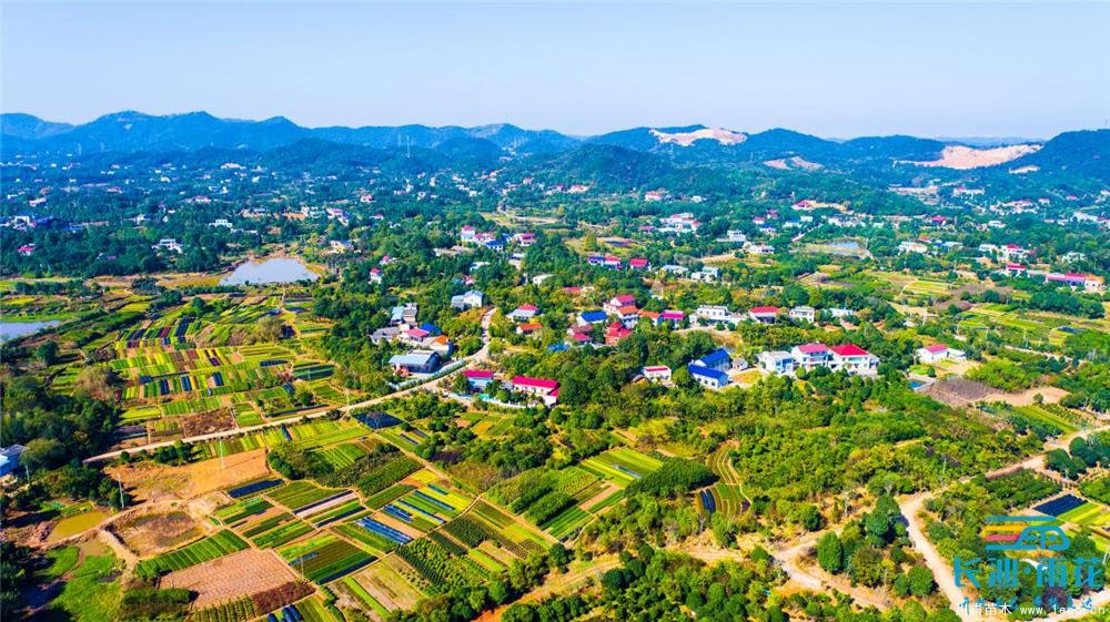 小小苗木開出“脫貧致富花”“一村一品”跳馬鎮(zhèn)豐收