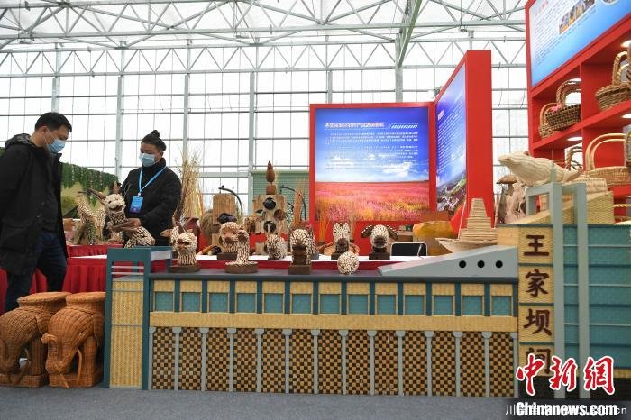 2020合肥苗木花卉交易大會開幕，市民近距離賞繁花