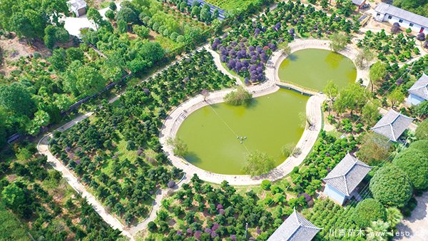 03版鎮(zhèn)村-1.jpg 湘贛邊首屆花木博覽會12月18日開幕