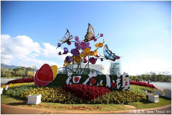 云南花卉世界合作之窗 打造特色花卉苗木產(chǎn)業(yè)集群