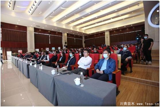 云南花卉世界合作之窗 打造特色花卉苗木產(chǎn)業(yè)集群