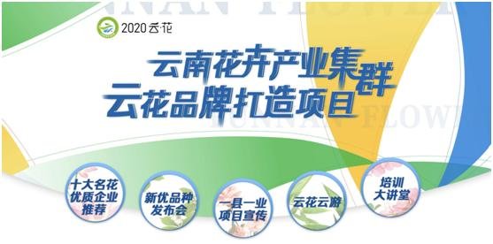 云南花卉世界合作之窗 打造特色花卉苗木產(chǎn)業(yè)集群
