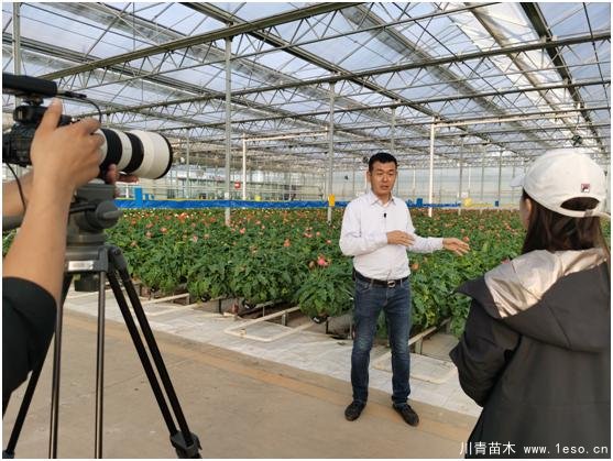 云南花卉世界合作之窗 打造特色花卉苗木產(chǎn)業(yè)集群