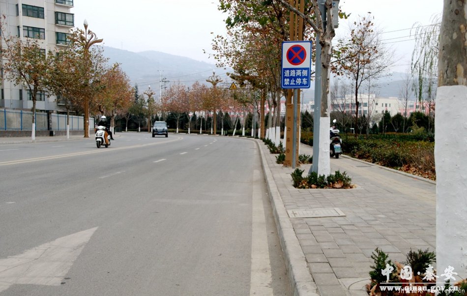 秦安縣領(lǐng)導(dǎo)班子積極開展冬季園林綠化管護(hù)工作