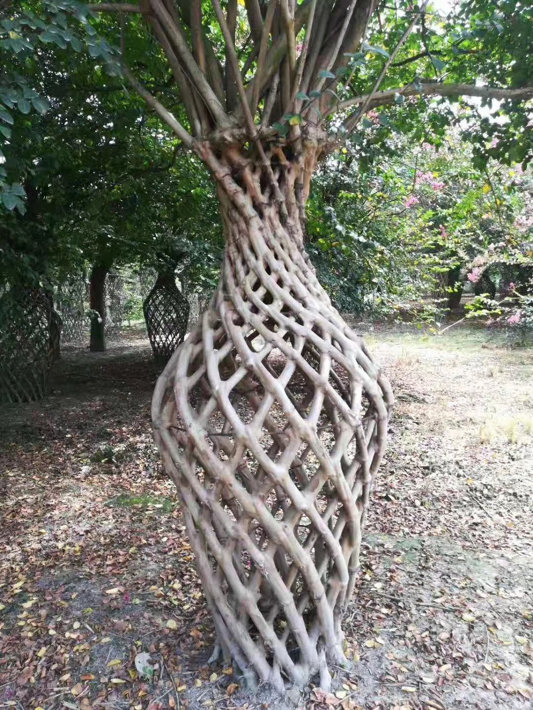 紫薇花瓶造型圖片